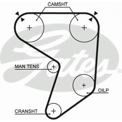 Timing Belt  Gates 5196 Timing Belt  Gates 5196
