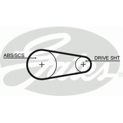 Timing Belt  Gates 5203XS
