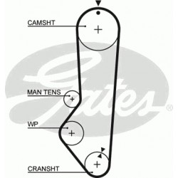 Timing Belt  Gates 5224XS