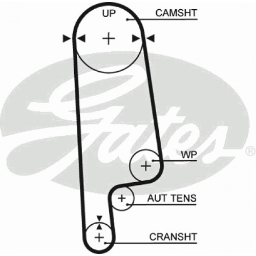 Timing Belt  Gates 5234XS