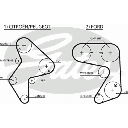 Timing Belt  Gates 5248XS