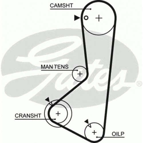 Timing Belt  Gates 5254XS