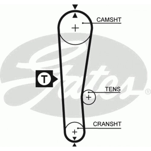 Timing Belt  Gates 5313XS