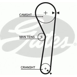 Timing Belt  Gates 5316 Timing Belt  Gates 5316
