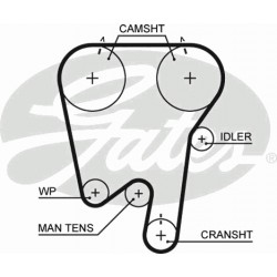 Timing Belt  Gates 5343XS Timing Belt  Gates 5343XS