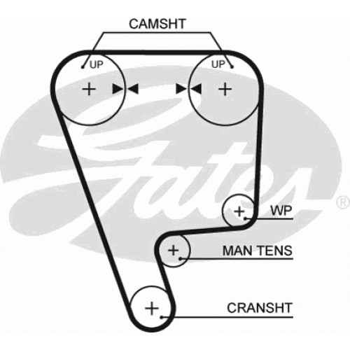 Timing Belt  Gates 5349XS