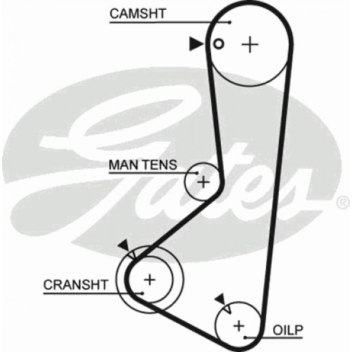 Timing Belt  Gates 5372XS