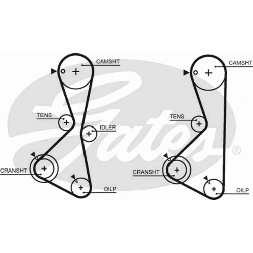 Timing Belt  Gates 5373XS