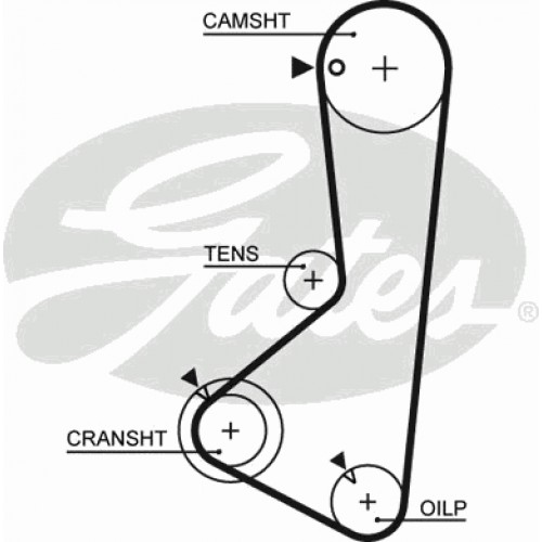 Timing Belt  Gates 5374XS