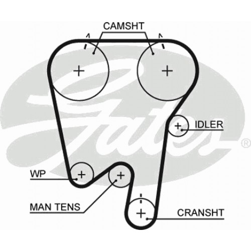 Timing Belt  Gates 5396XS