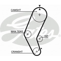 Timing Belt  Gates 5401 Timing Belt  Gates 5401