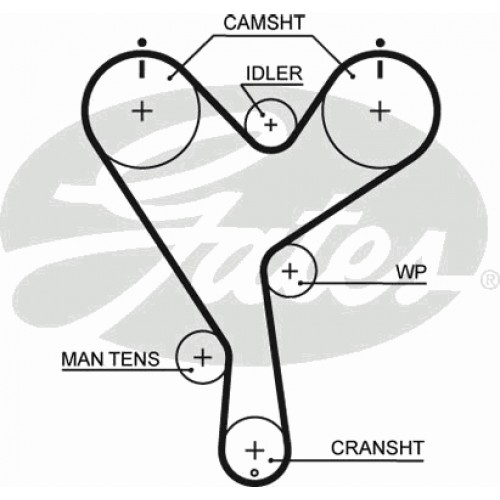 Timing Belt  Gates 5402XS