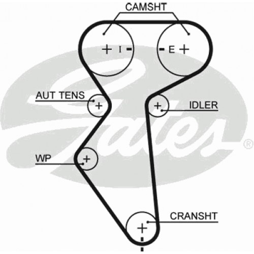 Timing Belt  Gates 5419XS