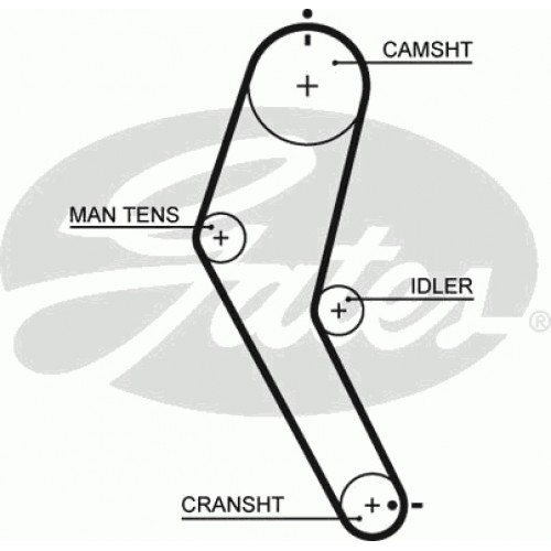Timing Belt  Gates 5422