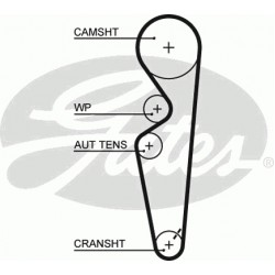 Timing Belt  Gates 5431XS Timing Belt  Gates 5431XS