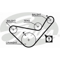 Timing Belt  Gates 5436XS Timing Belt  Gates 5436XS