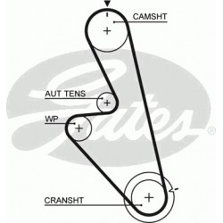 Timing Belt  Gates 5449 Timing Belt  Gates 5449