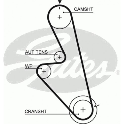 Timing Belt  Gates 5449