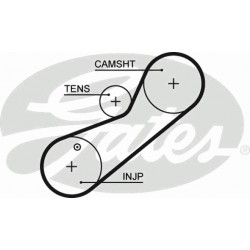 Timing Belt  Gates 5464XS