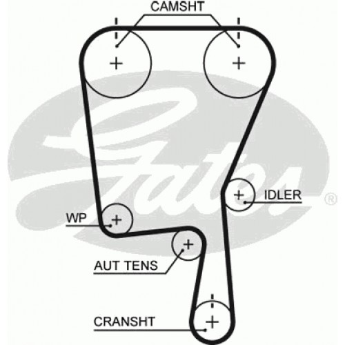 Timing Belt  Gates 5490XS