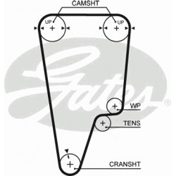 Timing Belt  Gates 5506XS Timing Belt  Gates 5506XS