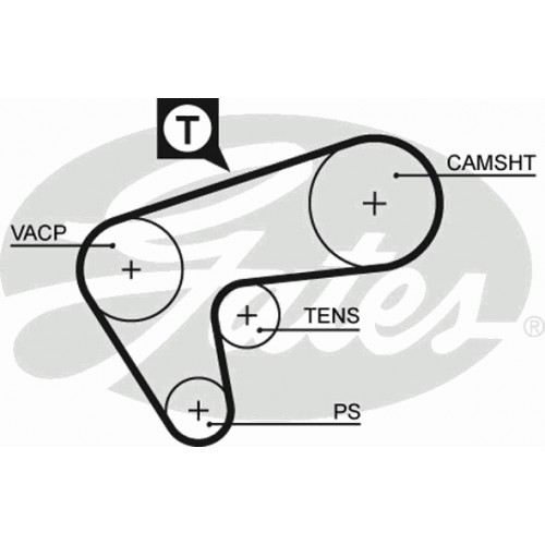 Timing Belt  Gates 5513XS