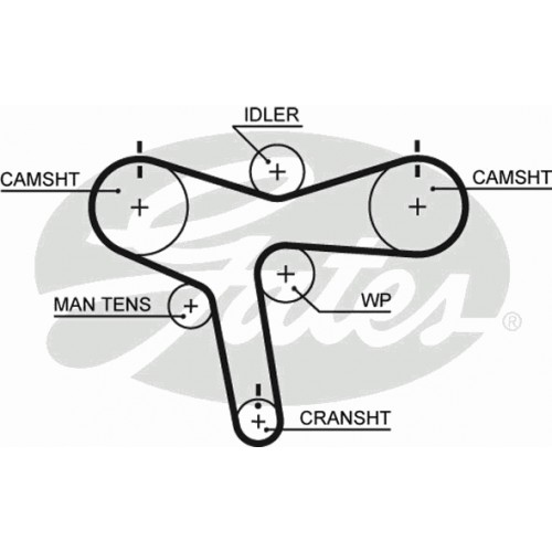 Timing Belt  Gates 5515XS