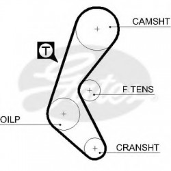 Timing Belt  Gates 5525XS Timing Belt  Gates 5525XS