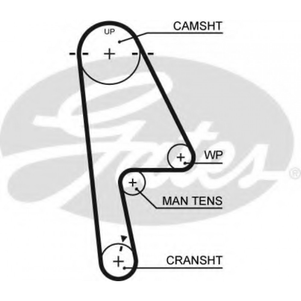 Timing Belt Gates 5529XS Real OEM Parts