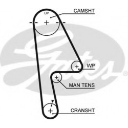 Timing Belt  Gates 5529XS