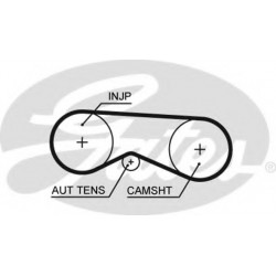 Timing Belt  Gates 5531XS
