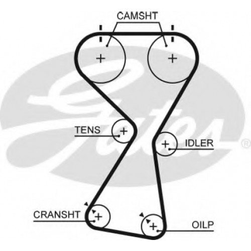 Timing Belt  Gates 5534XS