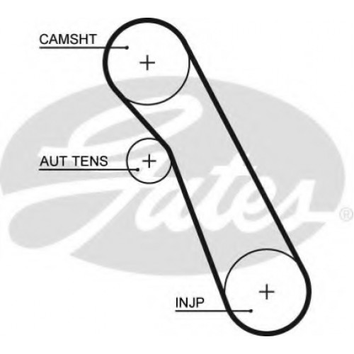 Timing Belt  Gates 5541XS