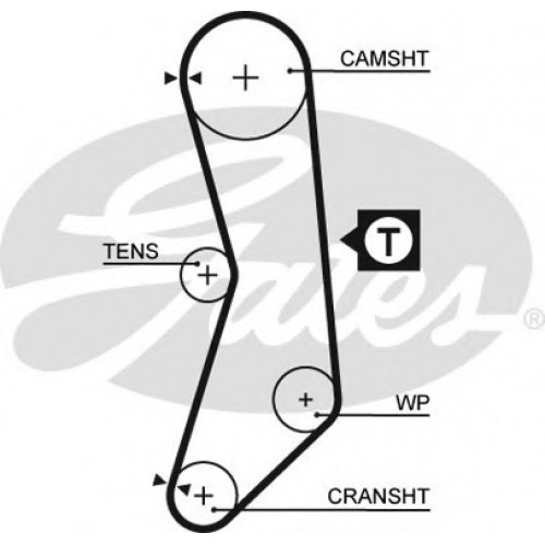 Timing Belt  Gates 5544XS