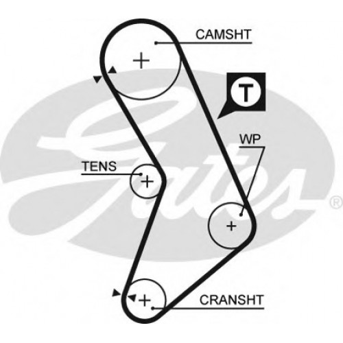 Timing Belt  Gates 5545XS