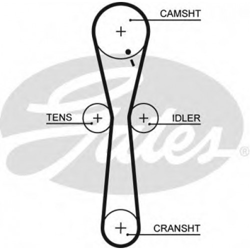 Timing Belt  Gates 5547XS