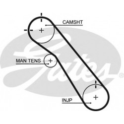 Timing Belt  Gates 5548XS