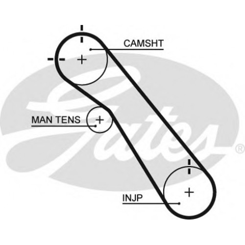 Timing Belt  Gates 5548XS