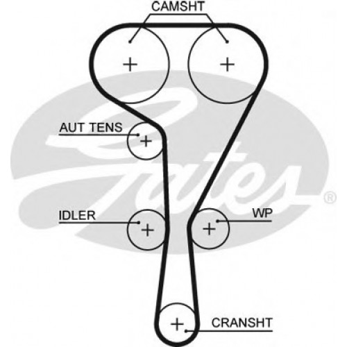 Timing Belt  Gates 5550XS