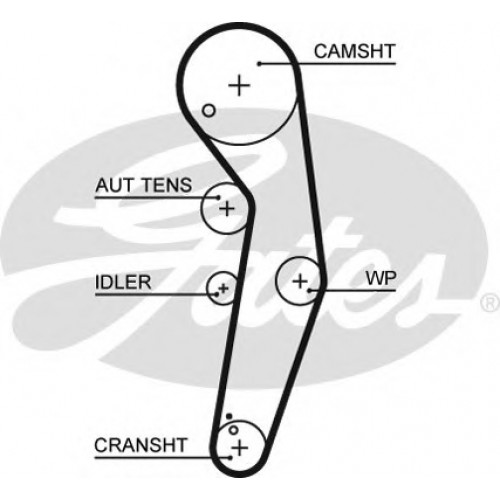 Timing Belt Gates 5569XS Timing Belt Gates 5569XS