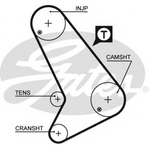 Timing Belt  Gates 5572XS