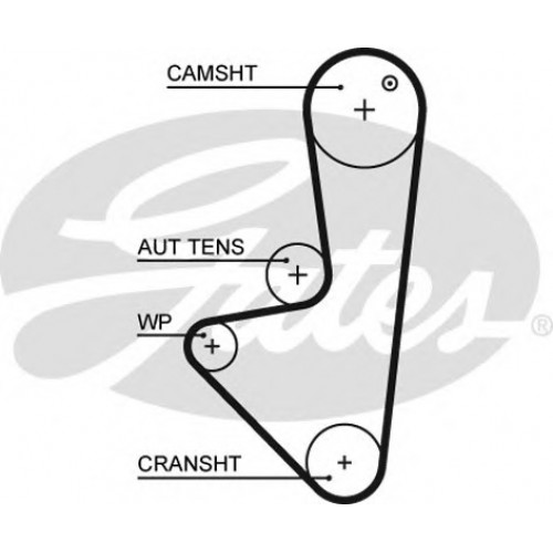 Timing Belt  Gates 5574XS