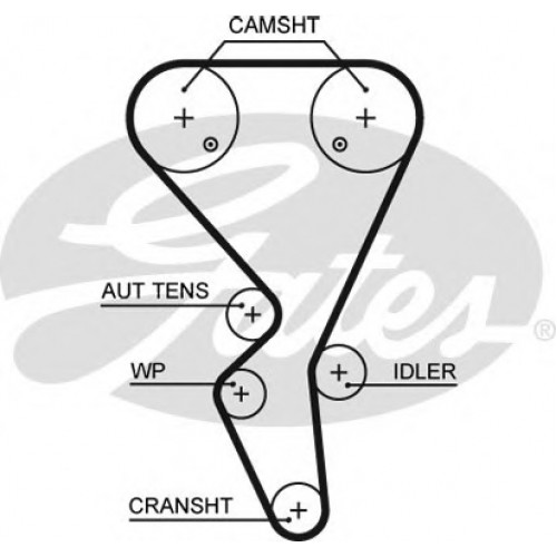 Timing Belt  Gates 5581XS