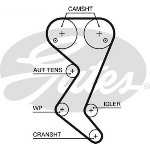 Timing Belt  Gates 5582XS