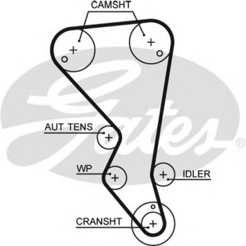 Timing Belt  Gates 5599XS