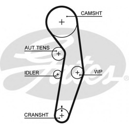 Timing Belt  Gates 5601XS