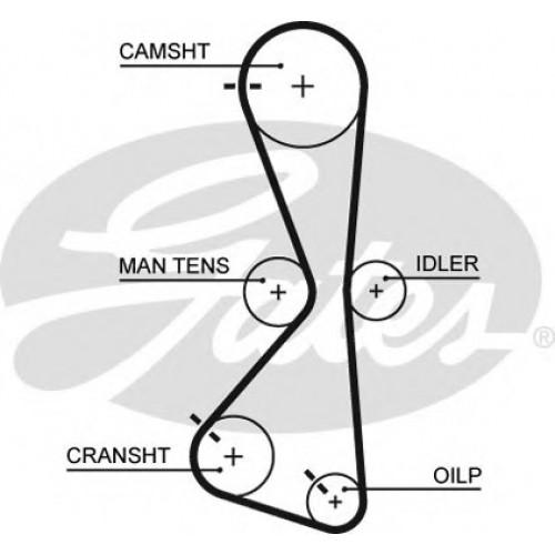 Timing Belt  Gates 5609XS