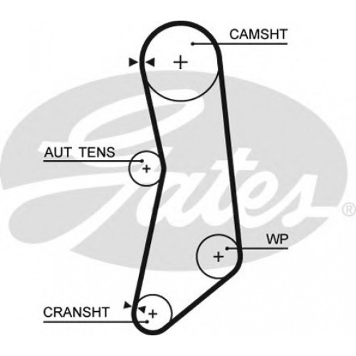 Timing Belt  Gates 5626XS