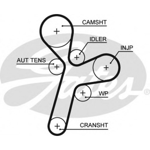 Timing Belt  Gates 5634XS