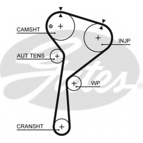 Timing Belt  Gates 5675XS